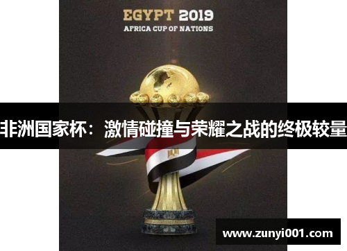 非洲国家杯：激情碰撞与荣耀之战的终极较量
