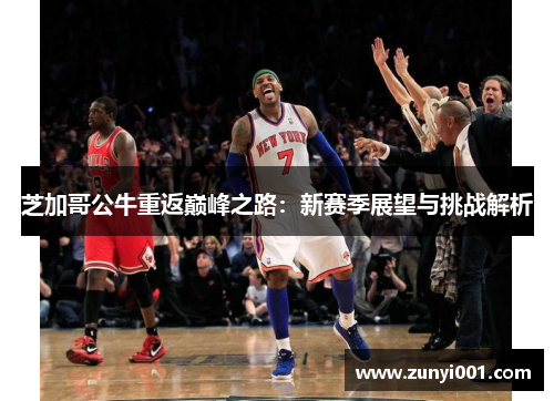 芝加哥公牛重返巅峰之路：新赛季展望与挑战解析
