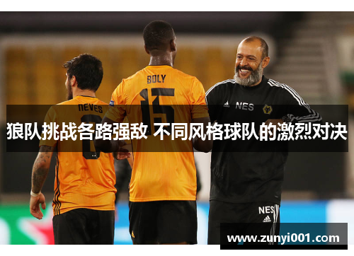 狼队挑战各路强敌 不同风格球队的激烈对决