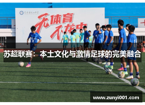 苏超联赛：本土文化与激情足球的完美融合